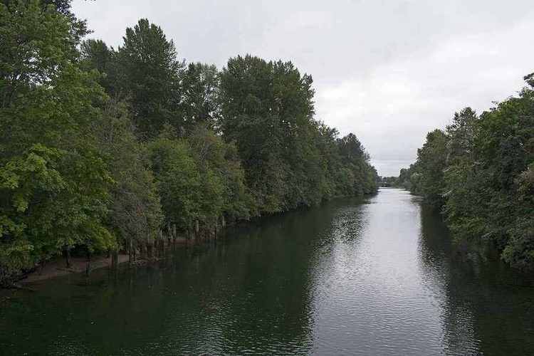 Lifestyle near Courtenay