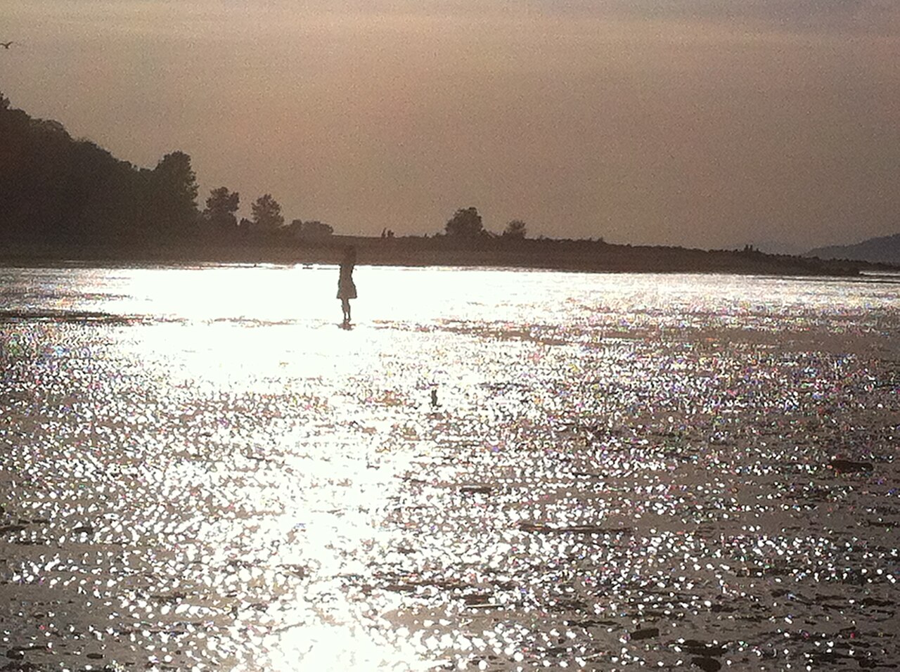 Point Grey Local lifestyle