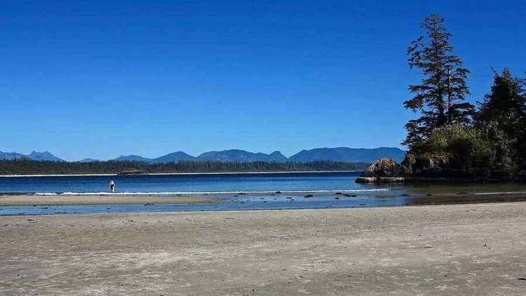 Tofino community setting