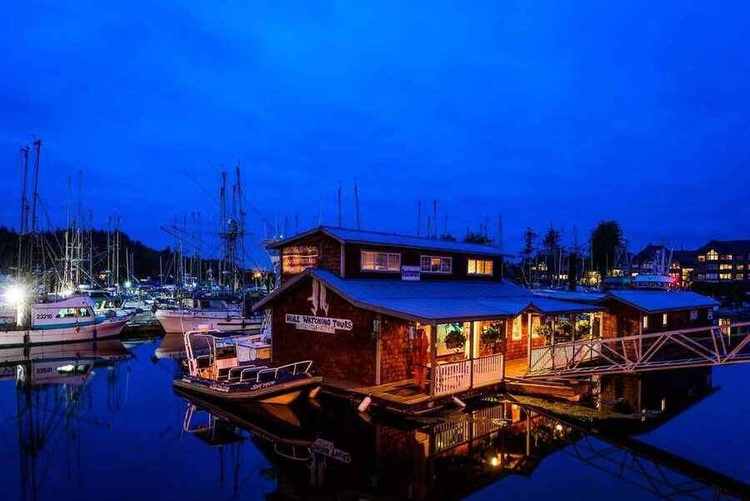 Homes and scenery in Ucluelet